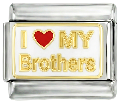 I love my brothers, on Silver - i-love-my-brother-on-silver.png