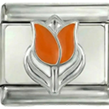 Holenderski tulipan
