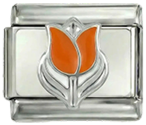 Obraz slajdu