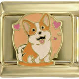Corgi na Złocie