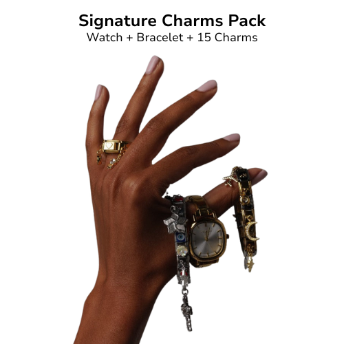 Signature Charms Zestaw