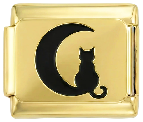 Cat and Moon - cat-and-moon.png