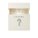 Tajemnicze pudełko (30 charms)