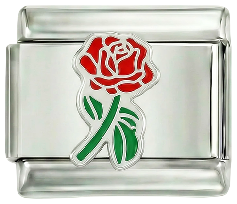 Cała Czerwona Róża z Zielonym Łodygą